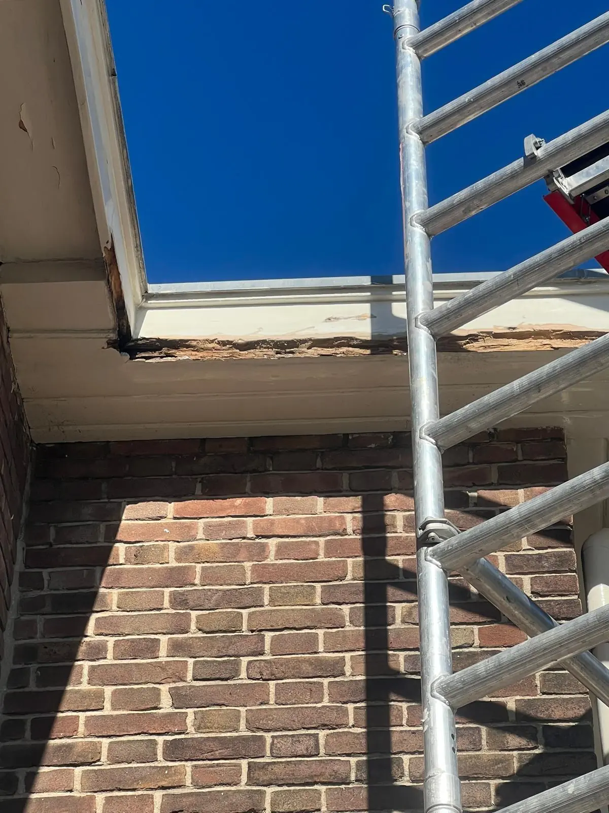 WhatsApp-Image-2025-05-26-at-15.58.57-2