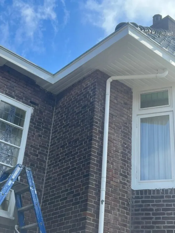 WhatsApp-Image-2025-05-27-at-11.19.18-9-600×800